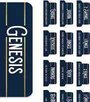 Manly Blue Bible Tabs for Men - Soul Nourishing Book Summaries - 66 Peel-And-Sti