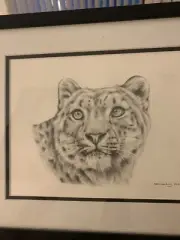 Pencil Drawing Leopard By Sarah Scribbling 2013 Original Signed And Framed