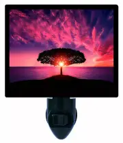 Decorative Photo Night Light, Amazing Sunset, Tree