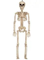 Small 16 Inch Posable Human Skeleton Halloween Decoration