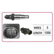 RAE Oxygen Sensor - OX811