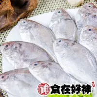 在飛比找momo購物網優惠-食在好神嚴選野生頂級白肉刺鯧回饋組