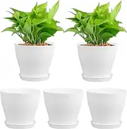 Planting Pots for Seedlings | Flower Planting Container, Flower Planter with Drainage Holes, Tray for Vegetables Succulents Cactus Cuttings Transplanting