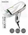 TESCOM 防靜電大風量吹風機 TID2200TW