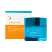 Dr Dennis Gross Hyaluronic Marine Moisture Cushion 60mL