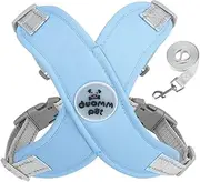 No Pull Dog Harness and Leash Set for Medium Sized Dogs, Super Comfort Dog Vest Harnesses with Lead Dog Collar for Puppy Running Training 20lbst (M, Blue)
