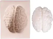 Dreuhuing Heart Organ Mold - Simulation Heart Brain Shape Soap Molds for Soap Making - Organs Shape Silicone Molds, Christmas Fondant Cake Decorating Tools for Candles, Chocolate, Ice Cream