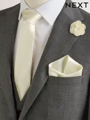 Neutral Pocket Square And Pin Set (AY9055) | $36