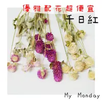 在飛比找蝦皮購物優惠-My Monday 衝評價 千日紅【 乾燥 千日紅 /  圓