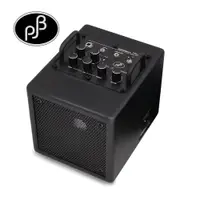 在飛比找PChome24h購物優惠-NANOBASS X4 電貝斯音箱(黑色)