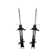 Front Roadsafe STR Sealed Strut Shock Absorbers for Mazda CX-9 TB 3.7L SUV 07-16