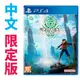 PS4 ONE PIECE 航海王 時光旅詩 / 中文 限定版【電玩國度】預購商品