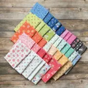 CALI & CO 40 Fat Quarters Moda QUILT Fabric Corey Yoder calico Cottage 29190AB