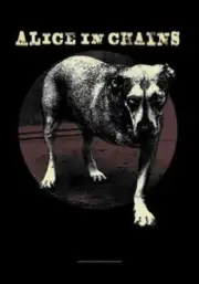 ALICE IN CHAINS MUSIC TEXTILE FLAGS WALL HANGER ITALY SCREEN PRINTED HFL 1153