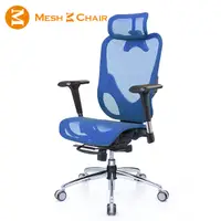 在飛比找PChome24h購物優惠-【Mesh 3 Chair】華爾滋人體工學網椅-精裝版(藍色