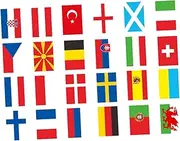 IWOWHERO 24pcs String European Cup String Flag 2021 Euro Bunting Flag Banner Garland Blm Flag Mini Sports Flags European Cup Hanging Flower Garland Logo 28c Pearlescent Football Polyester