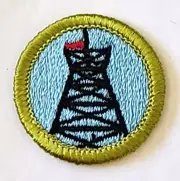 Boy Scout PIONEERING Merit Badge Type H (1972-02) Plastic Back