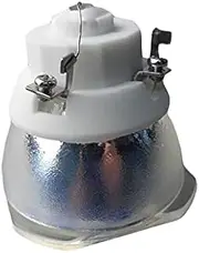 Replacement Projector Lamp Replacement Projector Lamp ELPLP89 Compatible with EPSON TW7300/TW8300/TW8300W/TW9300/TW9300W/H710C/H711C/H713C/H714C/H715C/4010 Projector Lamp Bulb(Bare lamp)