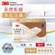 3M 天然乳膠防蹣枕-標準透氣型(附防蹣枕套)
