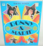 Vintage 1977 Donny & Marie PAPER DOLLS Book Whitman # 1991 Osmond UNPUNCHED