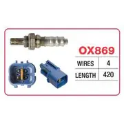 RAE Oxygen Sensor - OX869
