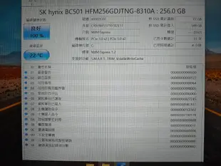 [近全新] M.2 SSD 256GB GEN3，海力士BC501，使用時數約2~6小時，限量出清！