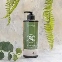 在飛比找momo購物網優惠-【SOAPSPA】艾草沐浴露500ml(1入)