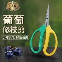 在飛比找樂天市場購物網優惠-摘果器 汪吾銓不銹鋼翹頭園藝剪刀葡萄蔬果稀果花藝樹枝花椒采果