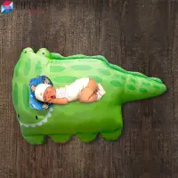 在飛比找蝦皮購物優惠-鱷魚寶寶可愛的 DooMagic 枕頭
