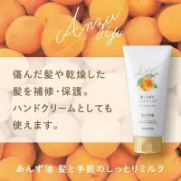 在飛比找Yahoo!奇摩拍賣優惠-日本製造 YANAGIYA 柳屋 杏桃油保濕護髮乳-120g