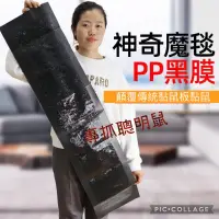 在飛比找蝦皮購物優惠-台灣現貨120＊28cm 強力粘鼠毯 捕鼠貼 黏鼠毯 黑底黏