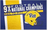 University of Pittsburgh Dynasty Rug - 19in. x 30in.