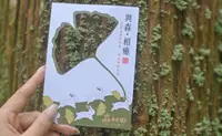 在飛比找KKday優惠-【療癒限定】南投溪頭|自導式森林療癒體驗(含溪頭門票)|帶您