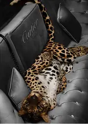 [Namly Design] Poster - Leopard on Luxurious Sofa