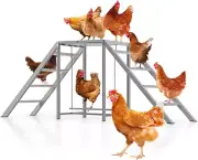Chicken Coop, Chicken Perches with Swing, Chicken Roosting Bars, Chicken Run Acc