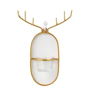 Nordic Ntyle Wall Hanging Vase Golden Wrought Iron Deer Head Home Decoration Salon Wall-mounted Decoration Simulation Succulents