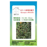 在飛比找PChome24h購物優惠-K21-1.柳薄荷種子(神香草.海壽花)