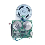 DIY Light Sensor Sound Module, Micro-USB Recordable Sound Chip