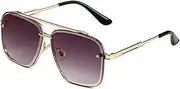 Upliftjoys Sunglasses, Retro Gradient Sunglasses Uv400 Protection, Stylish Double Bridge Square Frame Shades for Men and Women