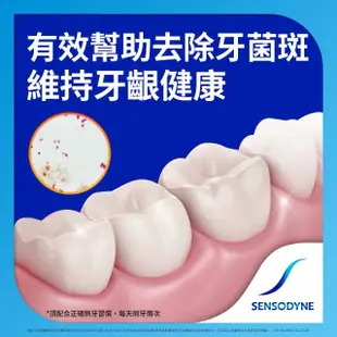 【SENSODYNE 舒酸定】日常防護 長效抗敏牙膏120gX1入(牙齦護理)