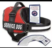 Industrial Puppy Service Dog Vest with Hook and Loop Straps and Handle-Red-Med