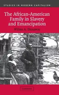 在飛比找博客來優惠-The African-American Family in