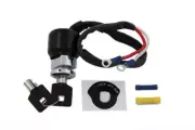Barrel Key Ignition Switch for 1991-2005 Harley Davidson FXD models