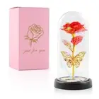 Mothers Day Forever Rose Gifts for Mom, Eternal Flower Birthday Gifts for Wom...