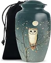Owl Cremation Urn - Decorative Urn for Ashes for Women - Funeral Urns for Adult Ashes Women & Men 10 Inch - Memorial Urns for Female & Male
