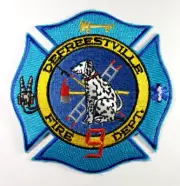 Defreestville New York Fire Department Patch - NEW