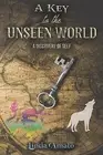 A Key to the Unseen World Linda Amato Paperback