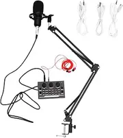 HAMPPLIES 11 Pcs Condenser Microphone and Webcast Equipment for Live Streaming Karaoke and Recording Use Durable Sound Cards with Bracket