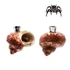 Jumping Spider Enclosure Accessories 2 Pack Conch Jumping Spider Hideout with...