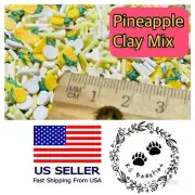 20g Pineapple Polymer Clay Mix Epoxy Resin Hot Soft Sprinkles Diy Crafts Art